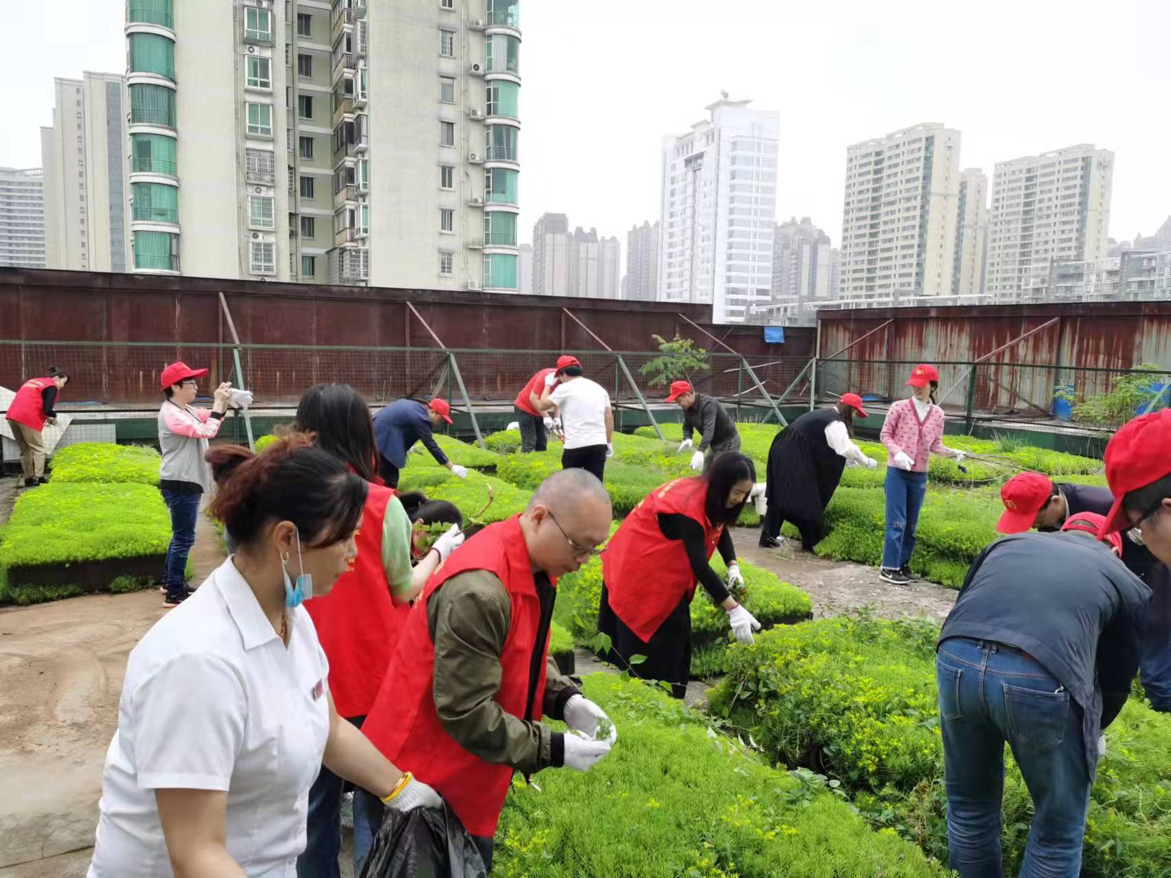 常德物業(yè)管理,物業(yè)企業(yè),陽光物業(yè) 常德物業(yè)管理,物業(yè)企業(yè),陽光物業(yè)